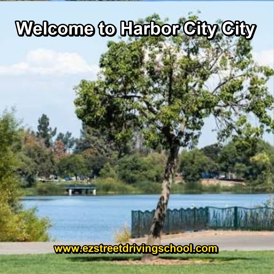Driving Lessons in Harbor City